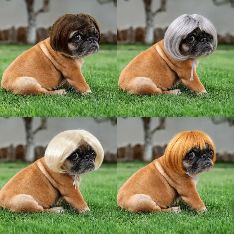 Adorable Appearance Pet Short Hair Wig Headband - Cute and Playful All Seasons Fun Accessory for Dogs & Cats