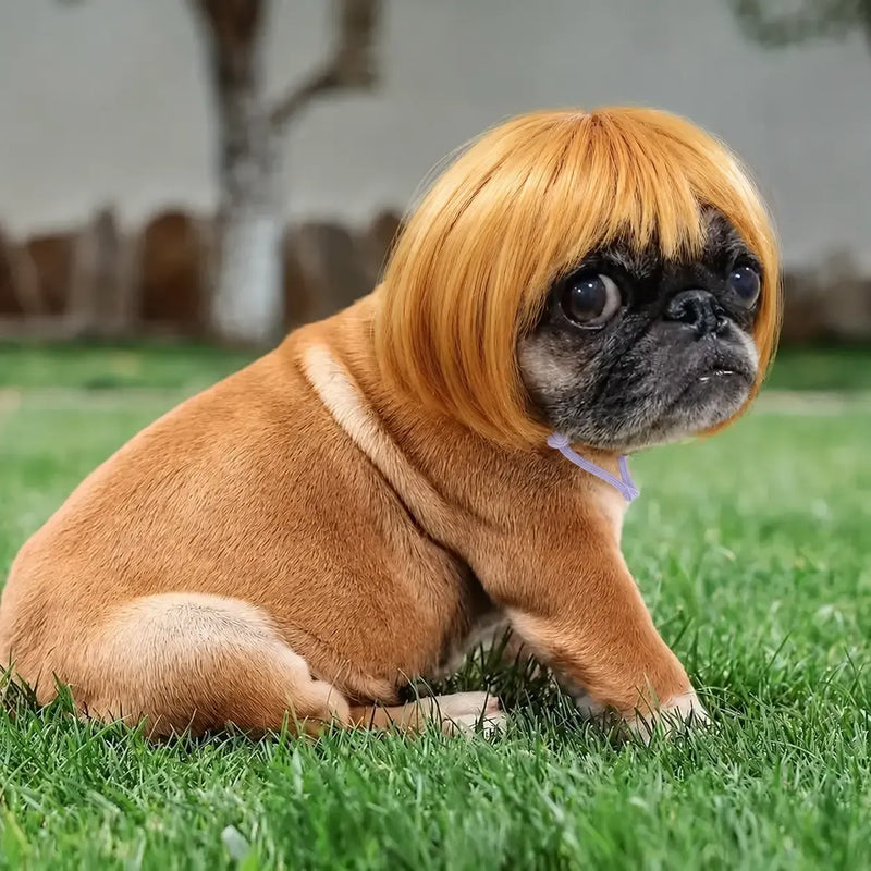 Adorable Appearance Pet Short Hair Wig Headband - Cute and Playful All Seasons Fun Accessory for Dogs & Cats