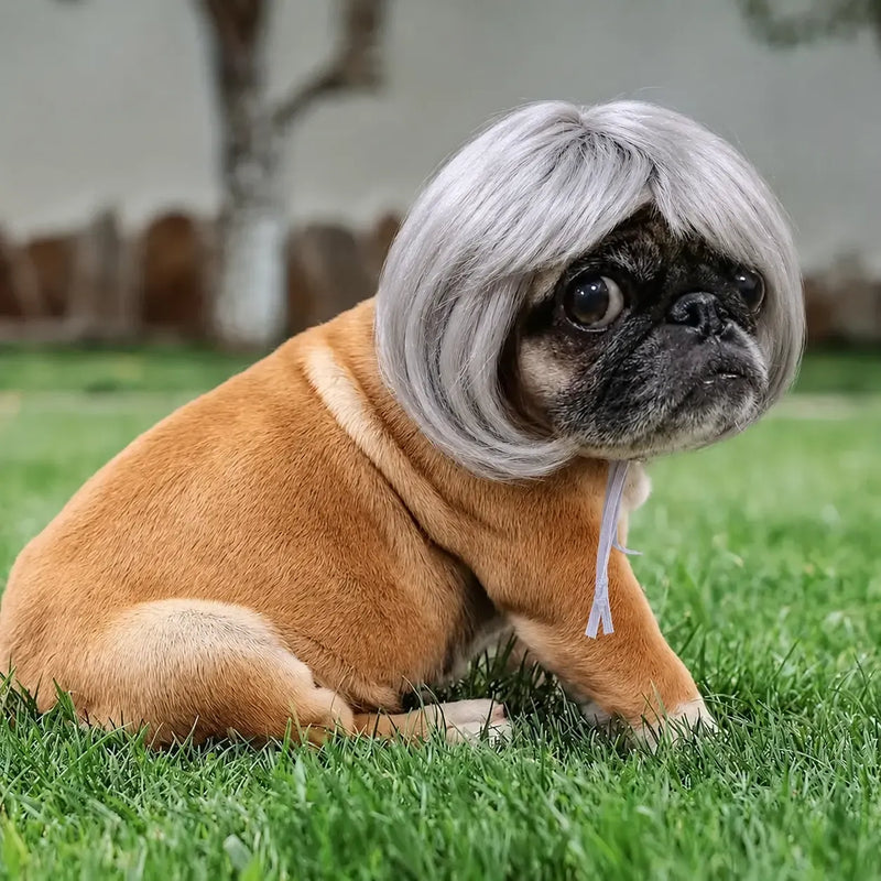 Adorable Appearance Pet Short Hair Wig Headband - Cute and Playful All Seasons Fun Accessory for Dogs & Cats