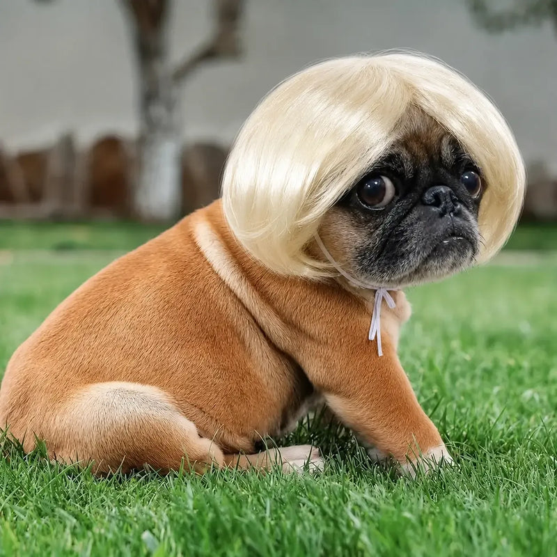 Adorable Appearance Pet Short Hair Wig Headband - Cute and Playful All Seasons Fun Accessory for Dogs & Cats